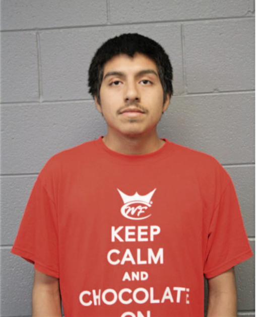 EDUARDO A LUNA, Cook County, Illinois