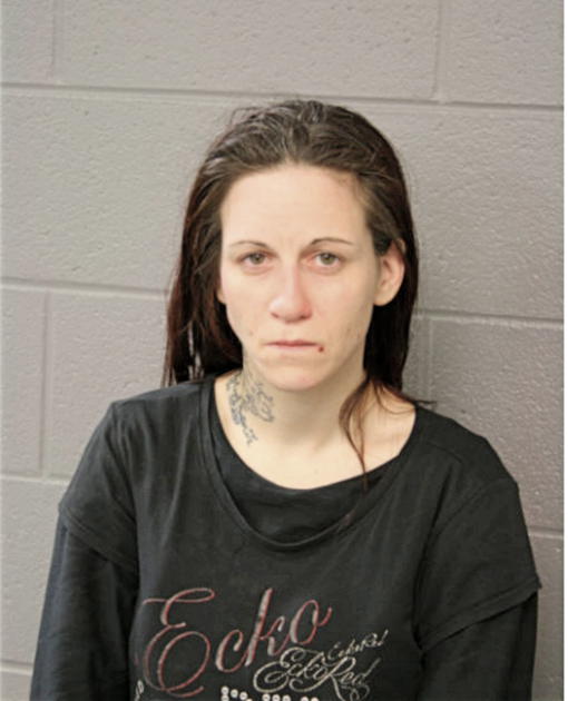 MEGAN N LYNCH, Cook County, Illinois