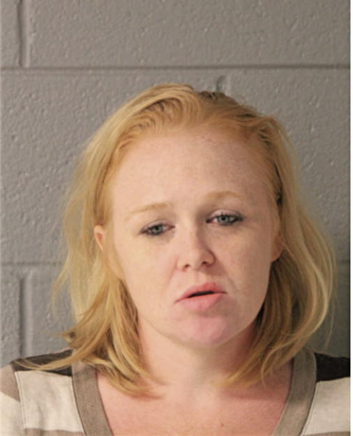 CAITLYN J MESKAUSKAS, Cook County, Illinois
