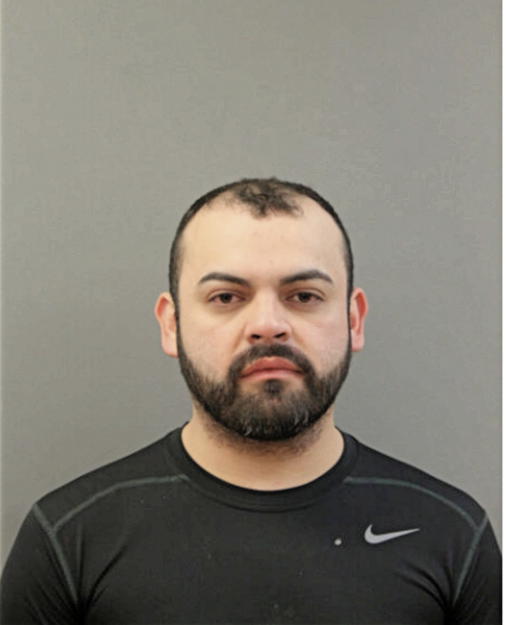 JOEL R MUNETON, Cook County, Illinois