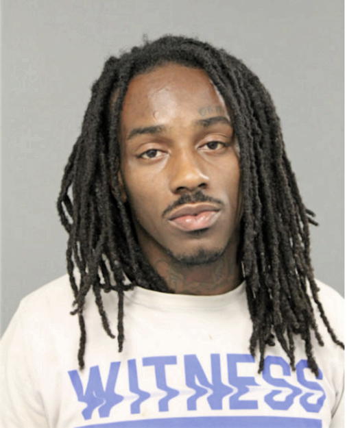 VICTOR L NICHOLS, Cook County, Illinois