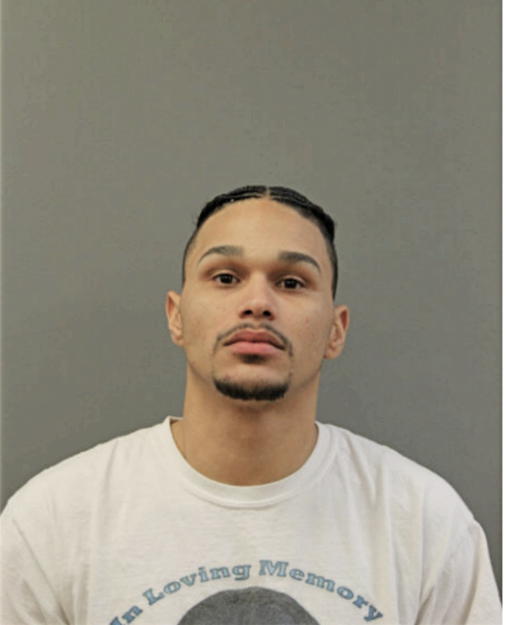 ALEX U ORTIZ JR - DELVALLE, Cook County, Illinois