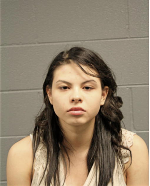 ELENA C PEREZ, Cook County, Illinois