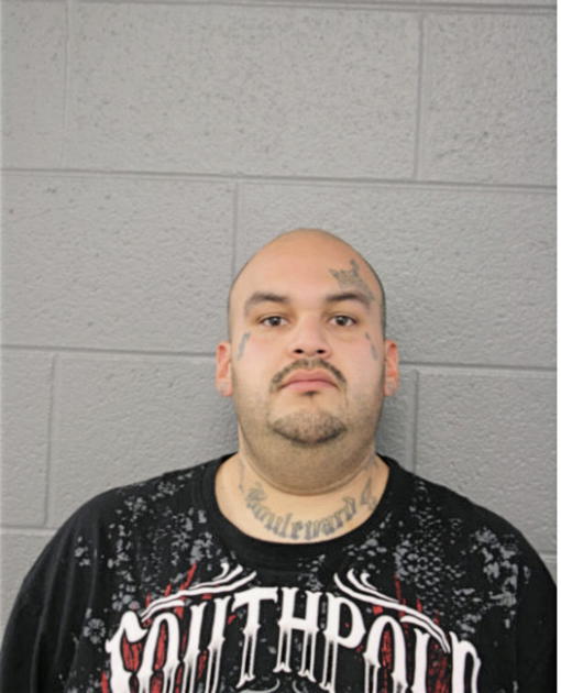 GONZALEZ POL, Cook County, Illinois