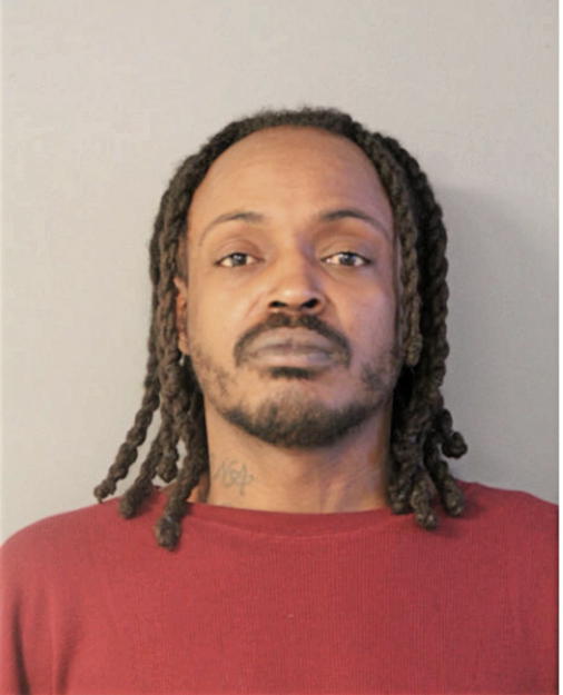 MICHAEL L ROBINSON, Cook County, Illinois
