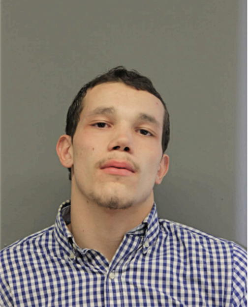 DEONTA L SANCHEZ, Cook County, Illinois