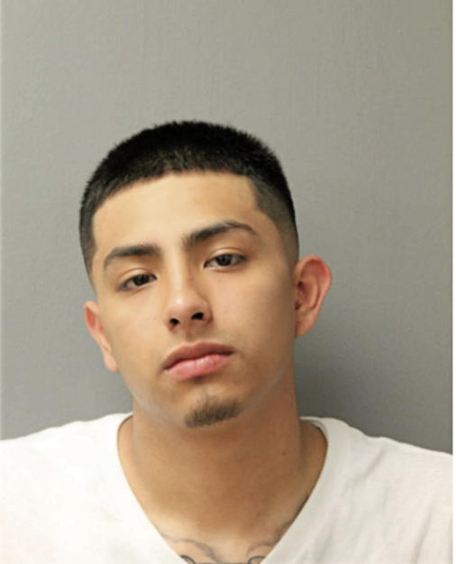 LAZARO SANDRO, Cook County, Illinois