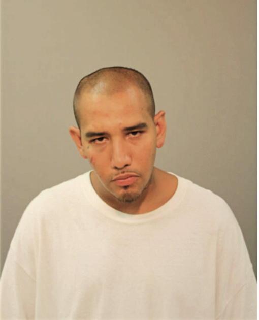 ANTHONY R SANTANA, Cook County, Illinois