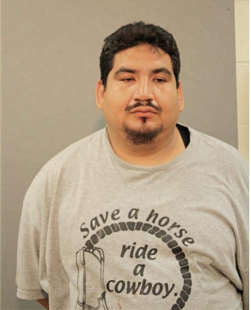 JOSE SOLEDAD, Cook County, Illinois