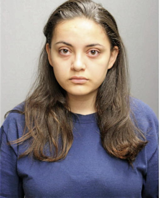 DIANA A VASQUEZ, Cook County, Illinois