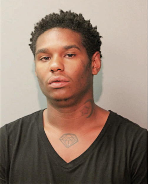 WALTER J WHITE, Cook County, Illinois