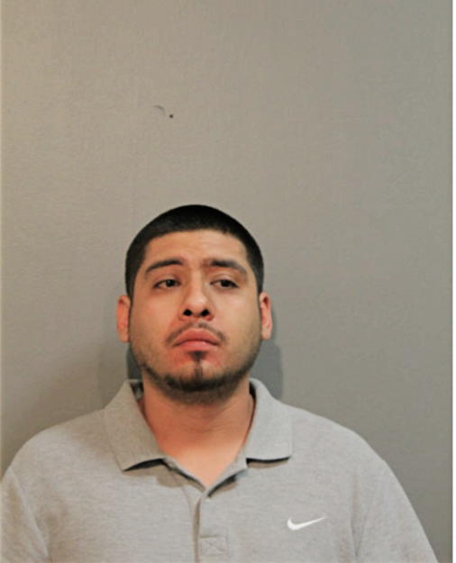 ROY J ABARCA, Cook County, Illinois