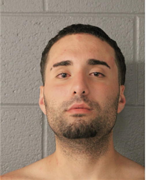 THAER A ALGHOLEH, Cook County, Illinois