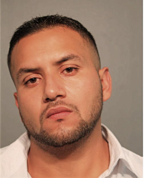 RONALD F AMADOR, Cook County, Illinois