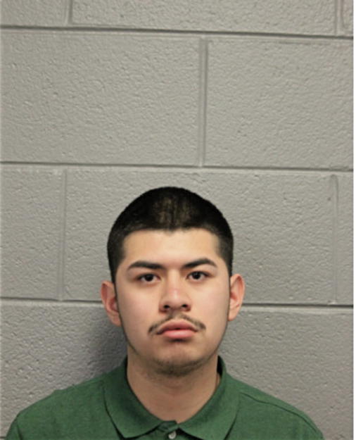 REYMUNDO ARROYO, Cook County, Illinois