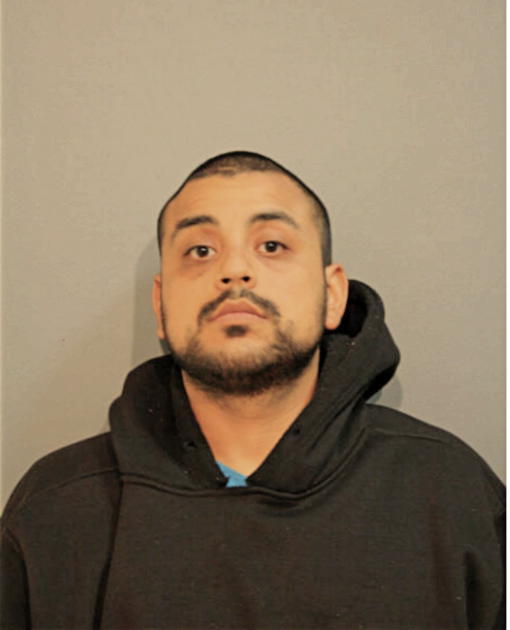 ANDRES AVINA, Cook County, Illinois