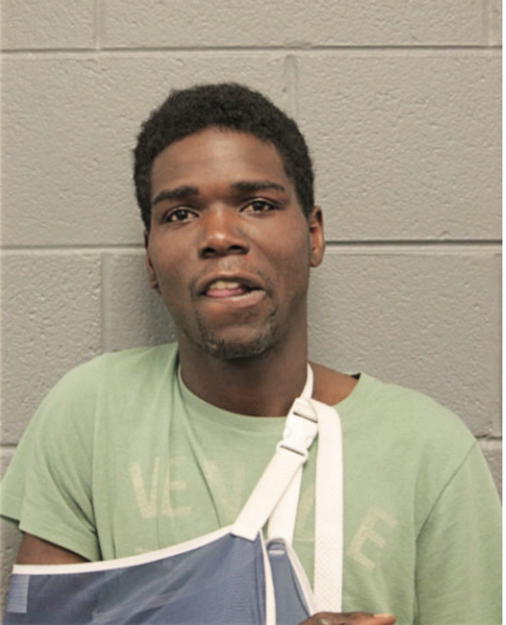 JONSTON T BAINES, Cook County, Illinois