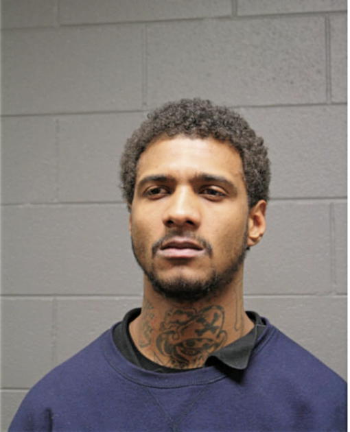 SAALIK M BERBERENA, Cook County, Illinois