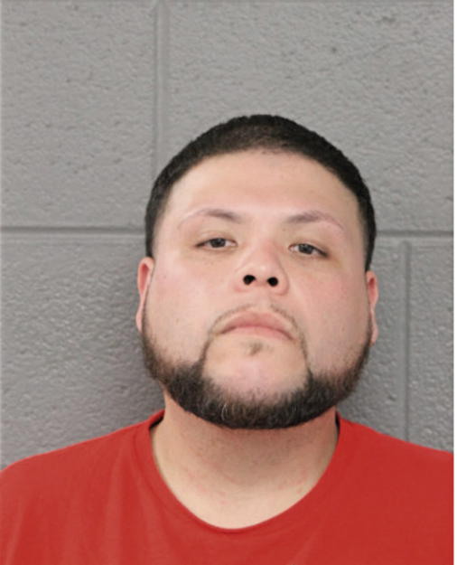 ADRIAN BRAVO, Cook County, Illinois