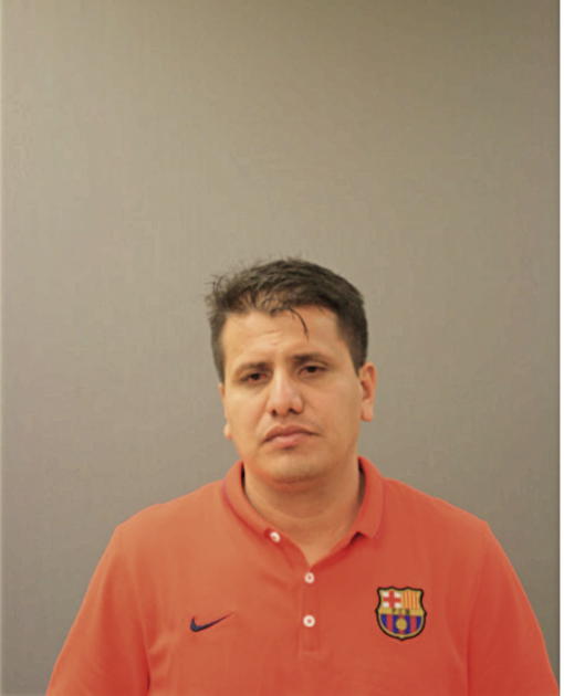 ALEX A BRIONES, Cook County, Illinois