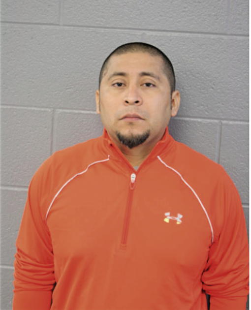ADAN CORRALES, Cook County, Illinois