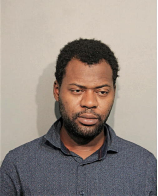 MICHAEL ADEWALE EMMANUEL, Cook County, Illinois