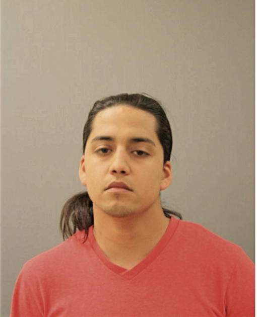ANGEL FERNANDEZ, Cook County, Illinois