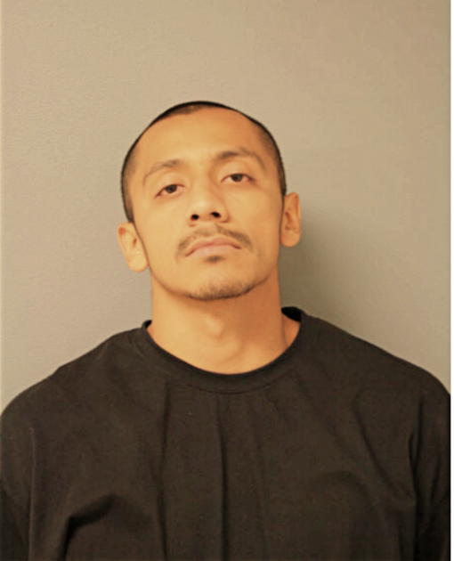 TOMAS GALARZA, Cook County, Illinois