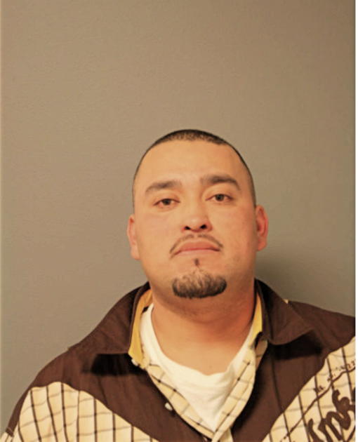 JOSE LIUS GONZALEZ, Cook County, Illinois