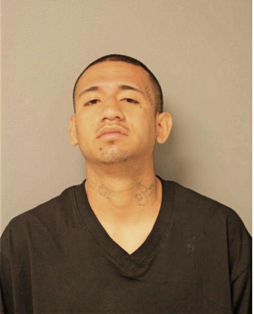 DAVID M HERNANDEZ, Cook County, Illinois