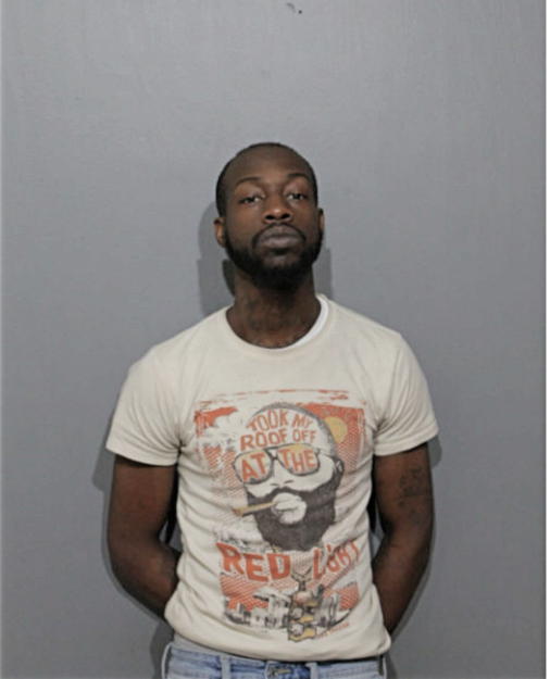 GREGORY L HYCHE, Cook County, Illinois