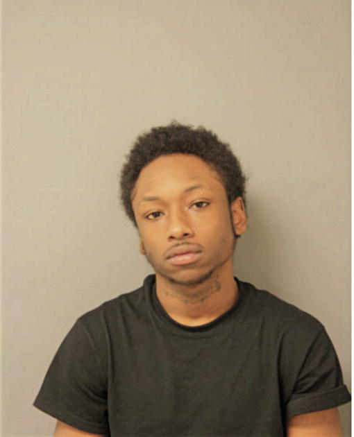 JAMES T JOHNSON, Cook County, Illinois