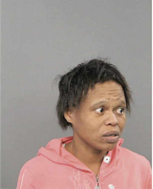 MARY N JOHNSON, Cook County, Illinois