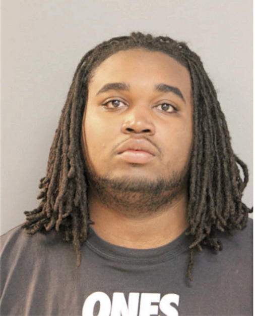 MICHAEL L JOHNSON, Cook County, Illinois