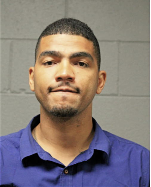 VICTOR M LANDOR III, Cook County, Illinois