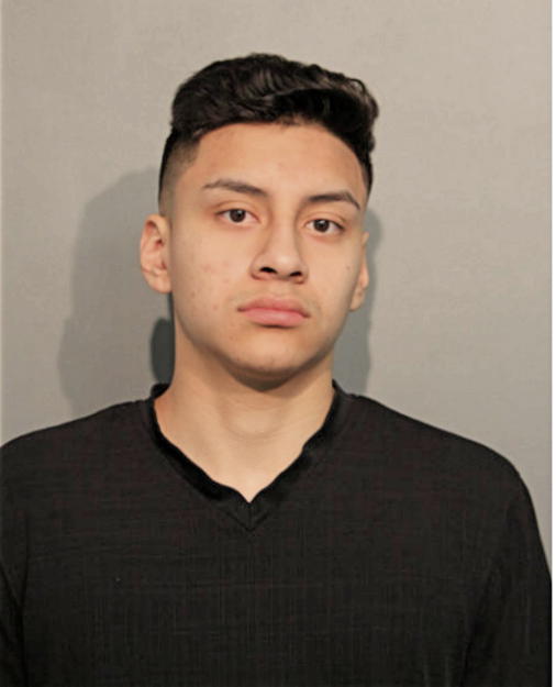 JOAUM LARA, Cook County, Illinois