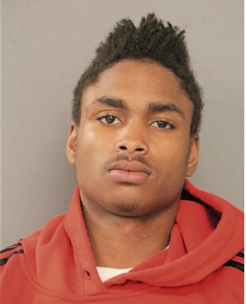 ANTRON L LEATHERMAN, Cook County, Illinois