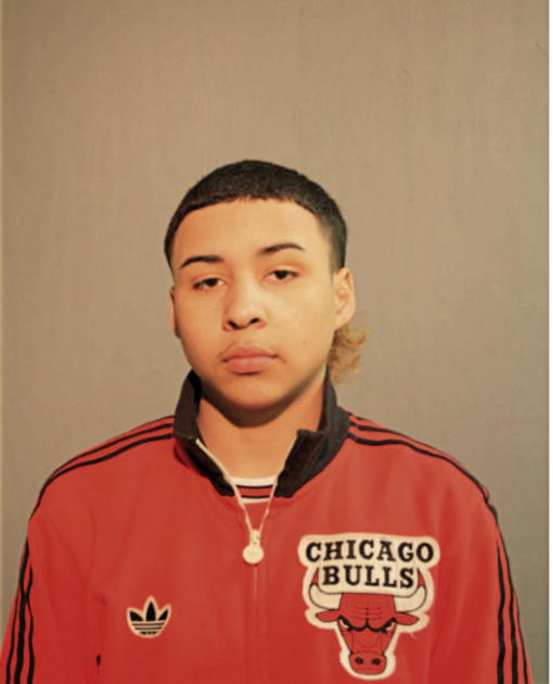 DEVONTE M LOVE, Cook County, Illinois