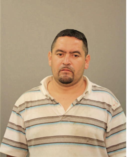 MISAEL MARTINEZ, Cook County, Illinois