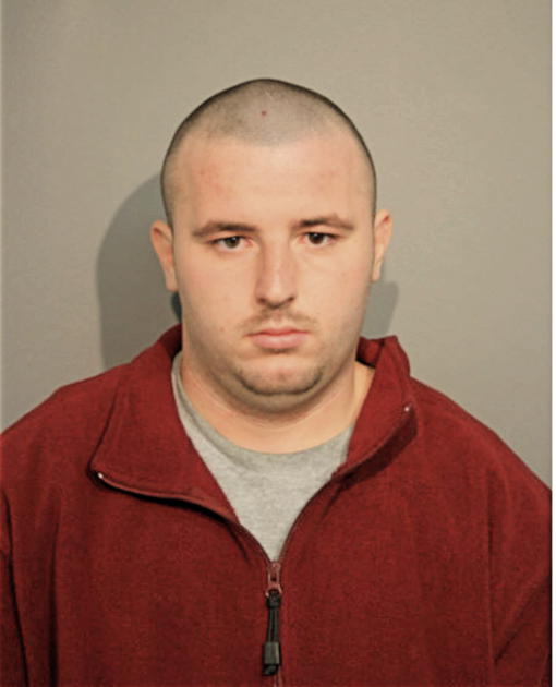 WILLIAM J MERCER, Cook County, Illinois