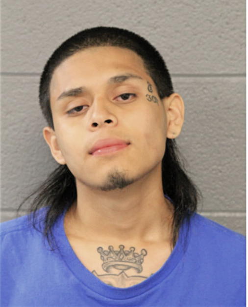 ADAM MONROY, Cook County, Illinois