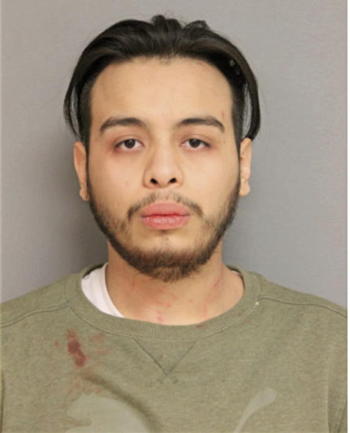 GONZALO RAMIREZ, Cook County, Illinois