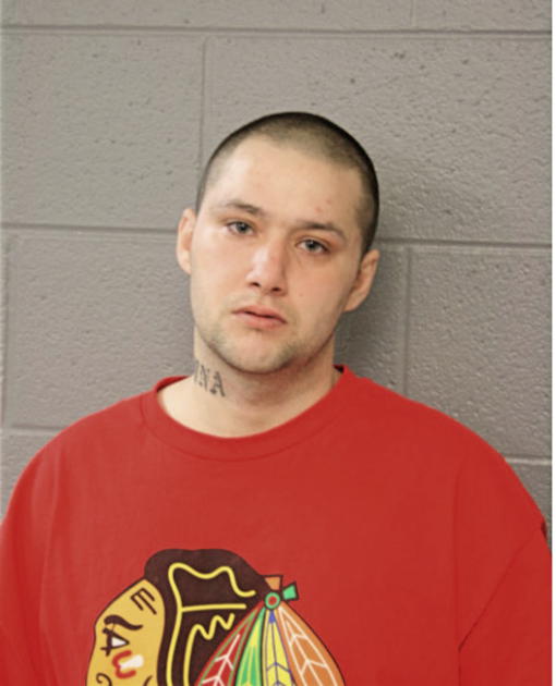 JUSTIN J RUGGIO, Cook County, Illinois