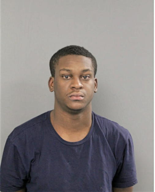 DEVON L RUSHIN, Cook County, Illinois