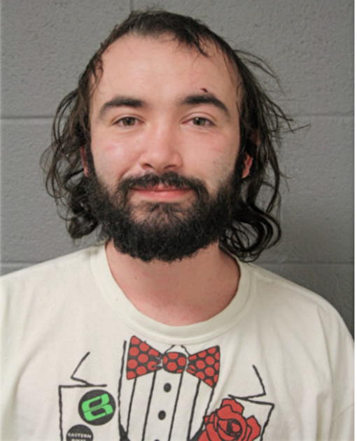 THOMAS M SMITH, Cook County, Illinois