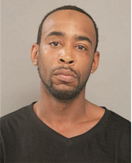 JAMES E WILLIAMS, Cook County, Illinois