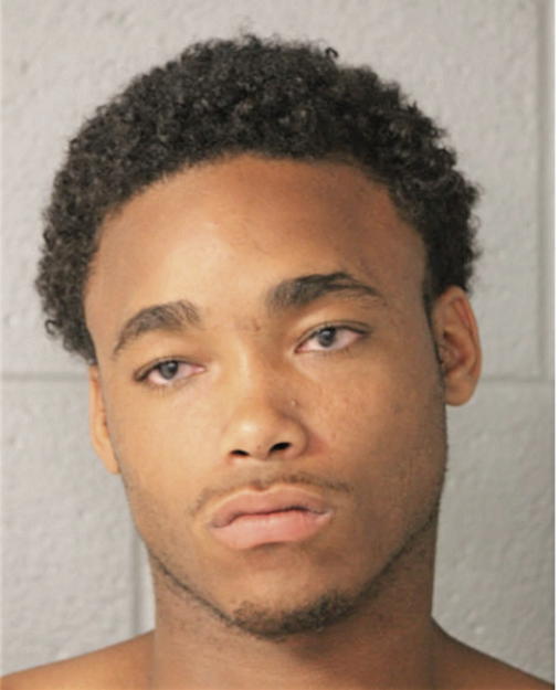 CALVIN L WILSON, Cook County, Illinois