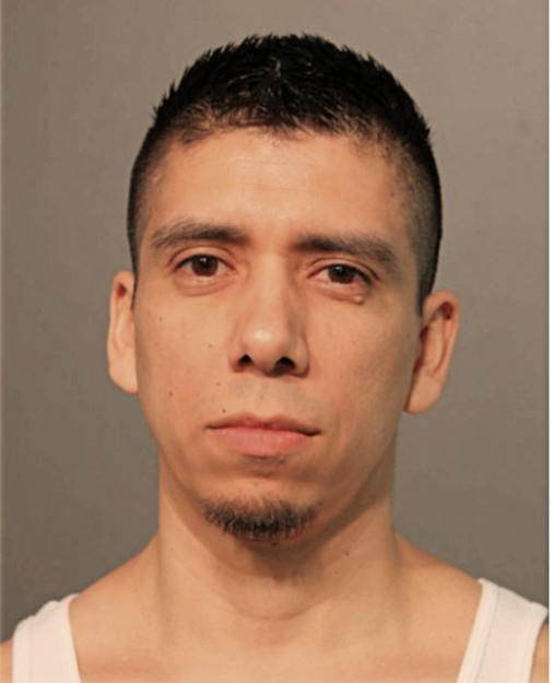 GUILLERMO ALEJOS, Cook County, Illinois