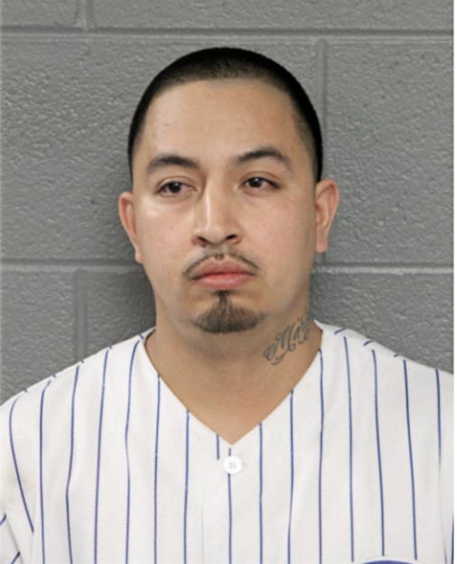 NICOLAS CASTRO ALONSO, Cook County, Illinois