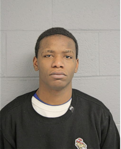 TERRANCE T ANDERSON, Cook County, Illinois